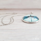 Turquoise Dragonfly Jewelry