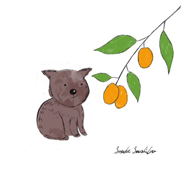 Wombat Illustration